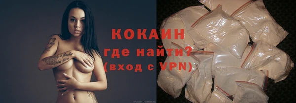 стафф Арсеньев