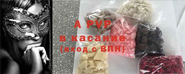 стафф Арсеньев