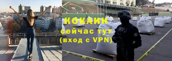 стафф Арсеньев