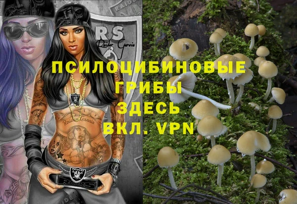 стафф Арсеньев